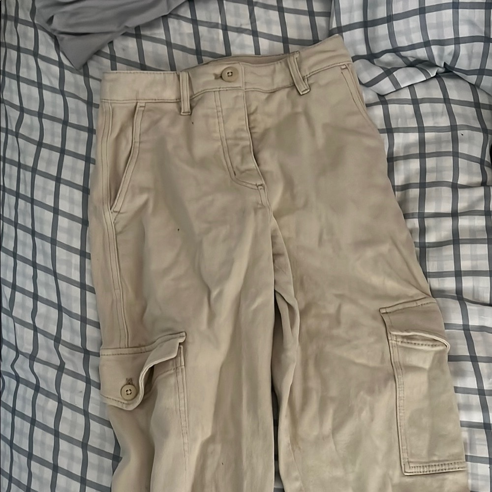 Aritzia Tan Cargo Pants